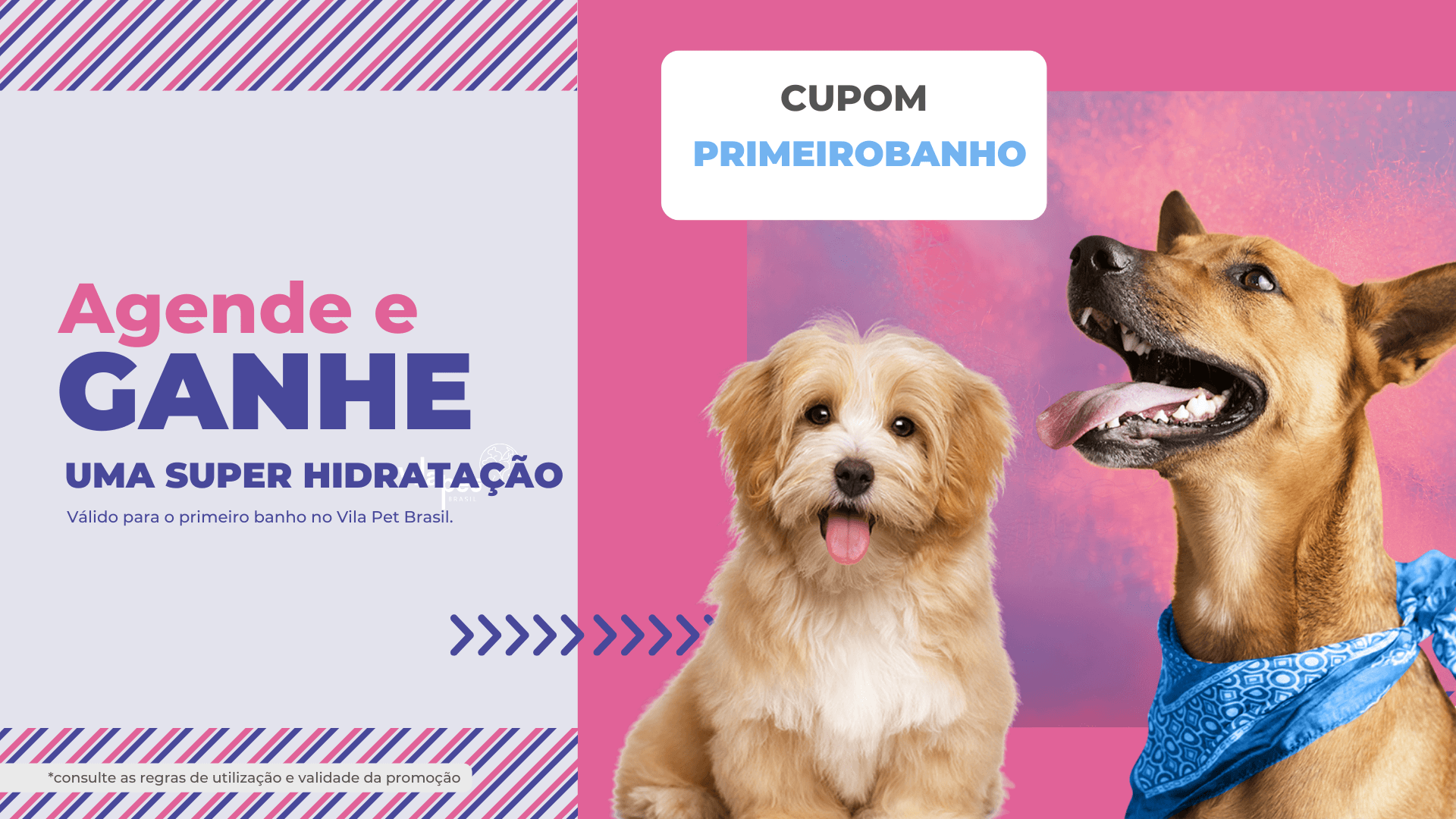 promoção de primeiro banho