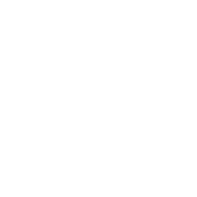 Logo Vila Pet Brasil Betim